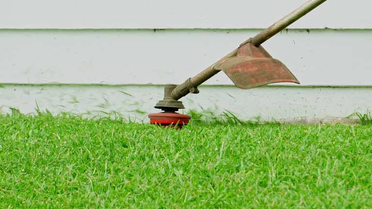 Best Lawn Mowing  in Kentfield, CA